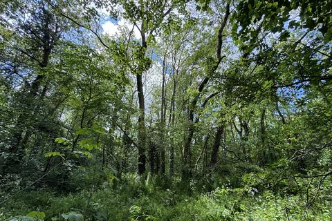 Woodland for sale, Balderton, nr Dodleston,  Chester, CH4