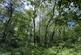 Balderton, nr Dodleston,  Chester, CH4 photo 2