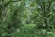Balderton, nr Dodleston,  Chester, CH4 photo 5
