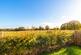 Additional image 17 of Kingfisher Walk, East Sussex BN27