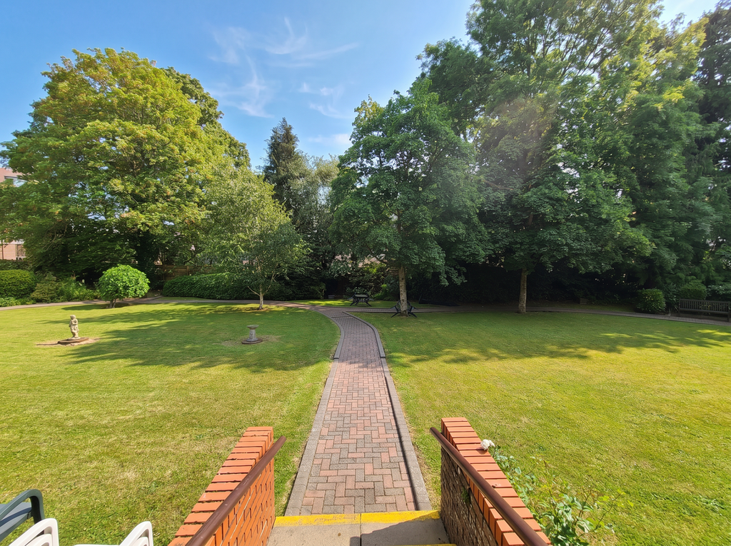 Garden view, garden