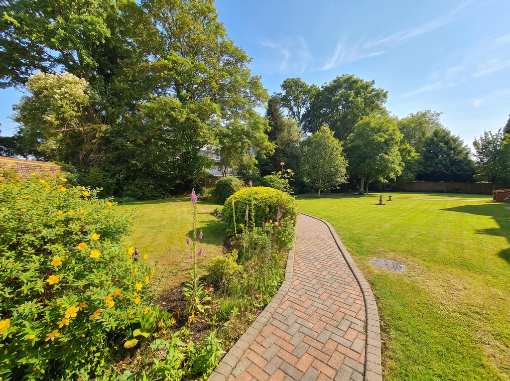 Garden view, garden