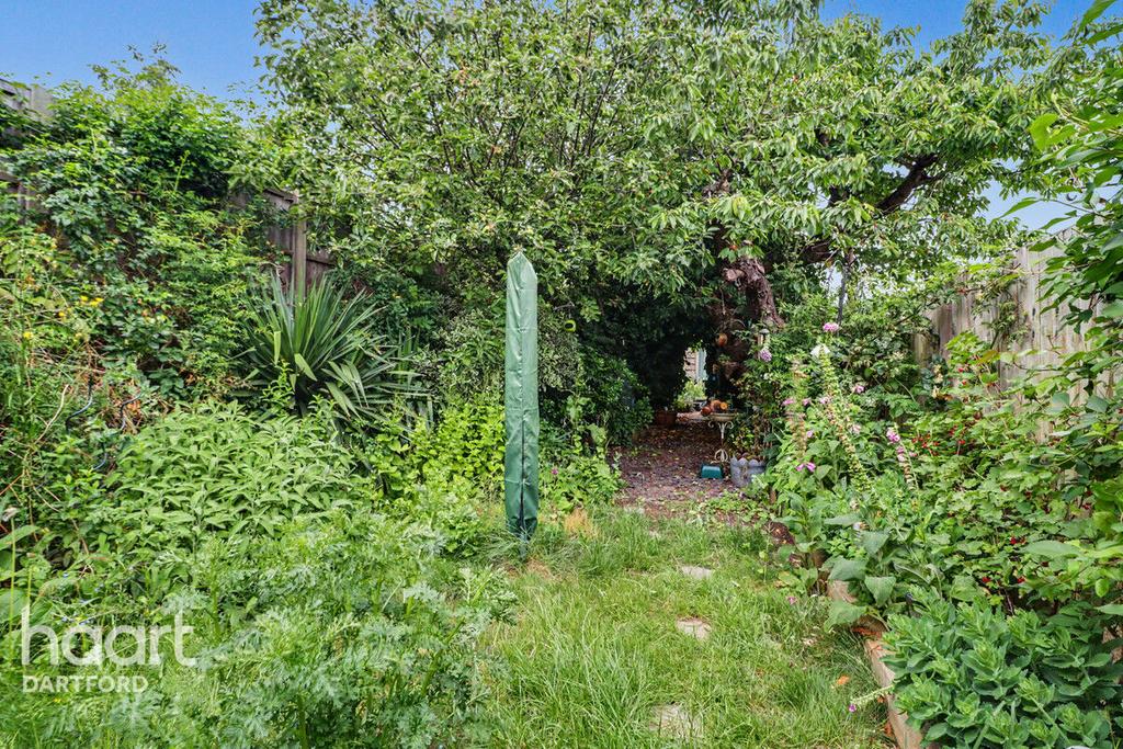 Garden view, garden