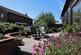 Additional image 19 of Beretun Orchard, Glastonbury