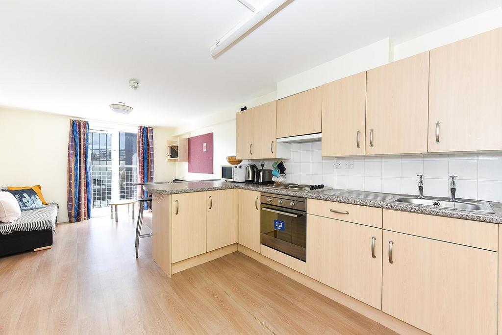 Apartment in Edinburgh, Lauriston, Tollcross - View 4
