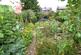 Additional image 23 of Apple Grove, Market Drayton, Shropshire