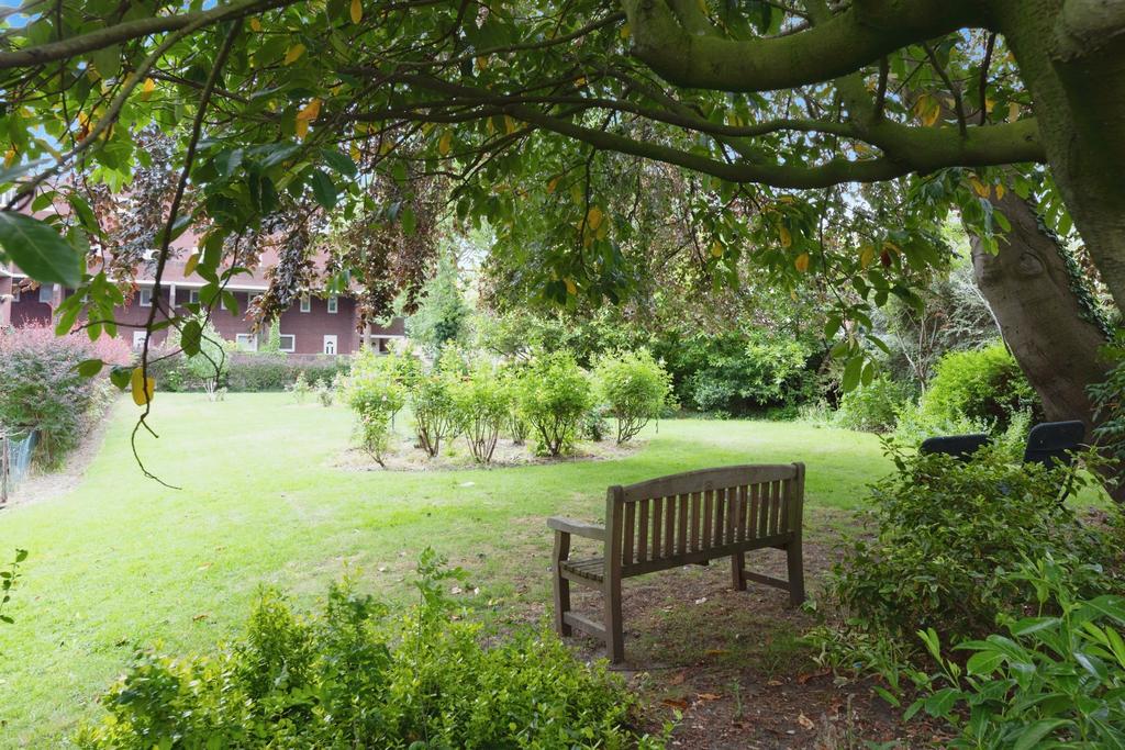 Garden view, garden