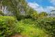 Harley Lane, Heathfield photo 5