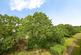 Additional image 2 of Brick Kiln Road, ROMFORD, Essex, RM3