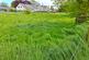 Additional image 45 of School Lane, Pilling, Preston, PR3
