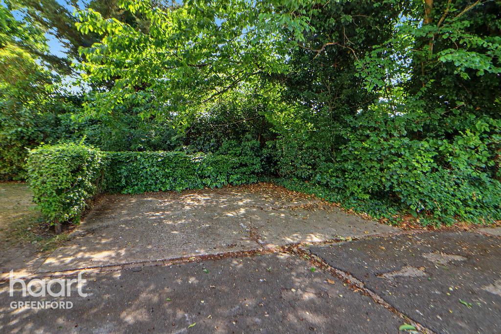 Driveway view