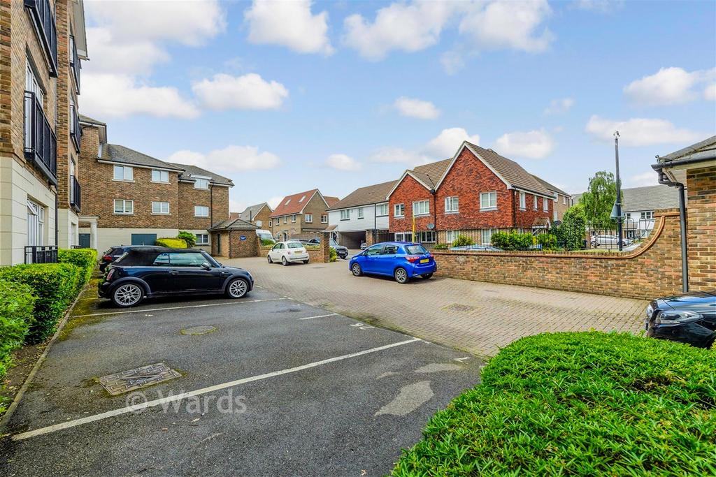 Driveway/Parking