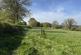 Culmhead, Taunton photo 3