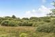Additional image 6 of Common Moor, Liskeard, PL14