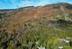 Additional image 34 of Lochard Road, Aberfoyle, Stirling, Stirlingshire