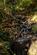 Additional image 47 of Lochard Road, Aberfoyle, Stirling, Stirlingshire
