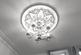 Additional image 23 of Thistle Guest House, St. Catherines, Cairndow, Argyll & Bute PA25 8AZ