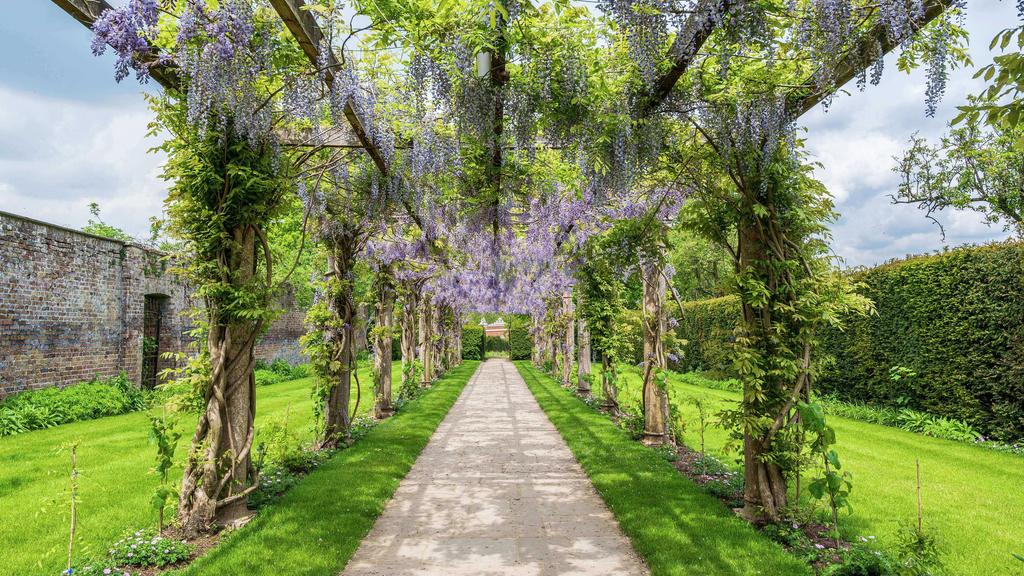 Garden view, garden