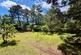 St Leonards Way, Ashley Heath, BH24 2HS photo 4