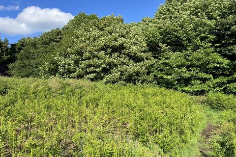 Land for sale, Former Quarry and Woodland Off Cuckoostone Lane, Matlock
