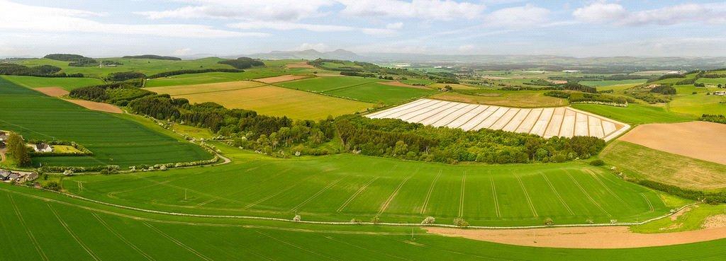 Land At Muirhead