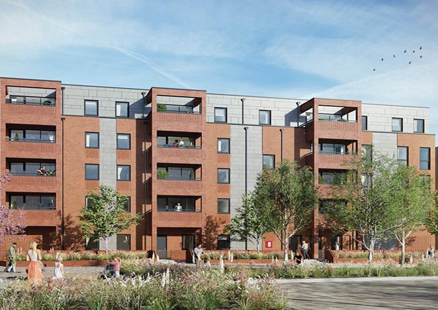1 bedroom apartment to rent