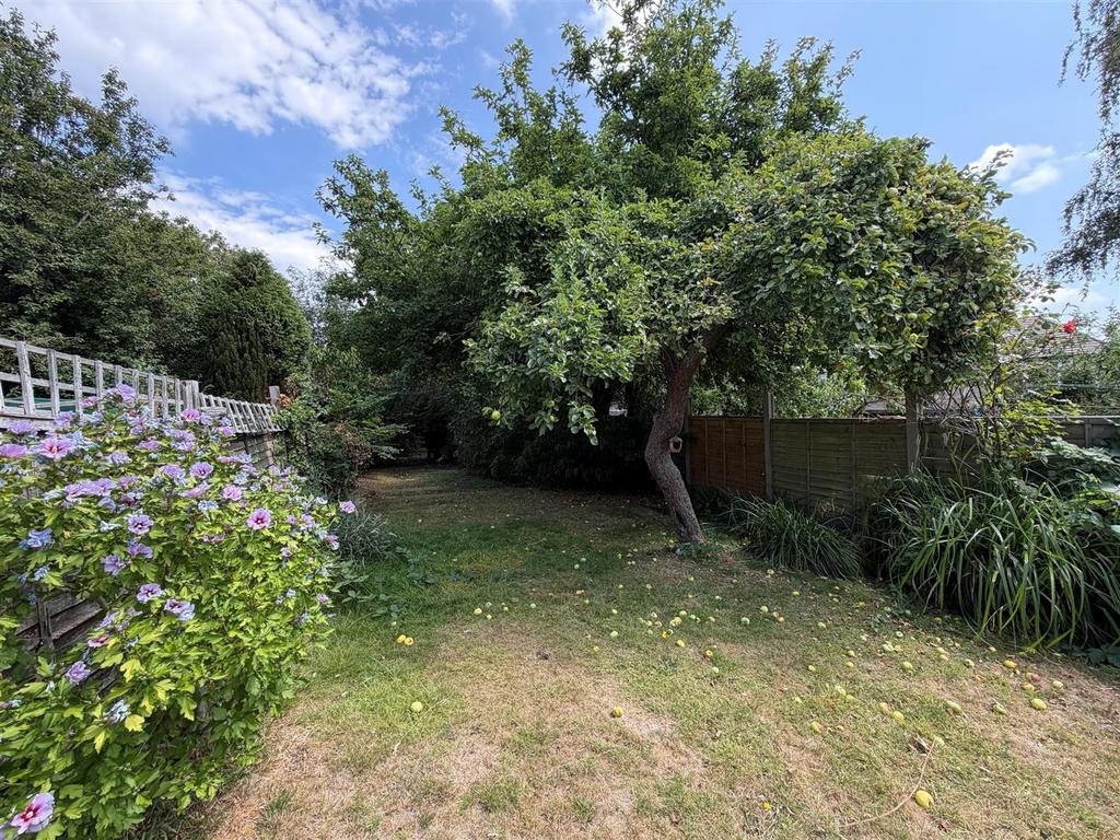 Garden view, garden