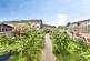 Mountsfield, FROME photo 3