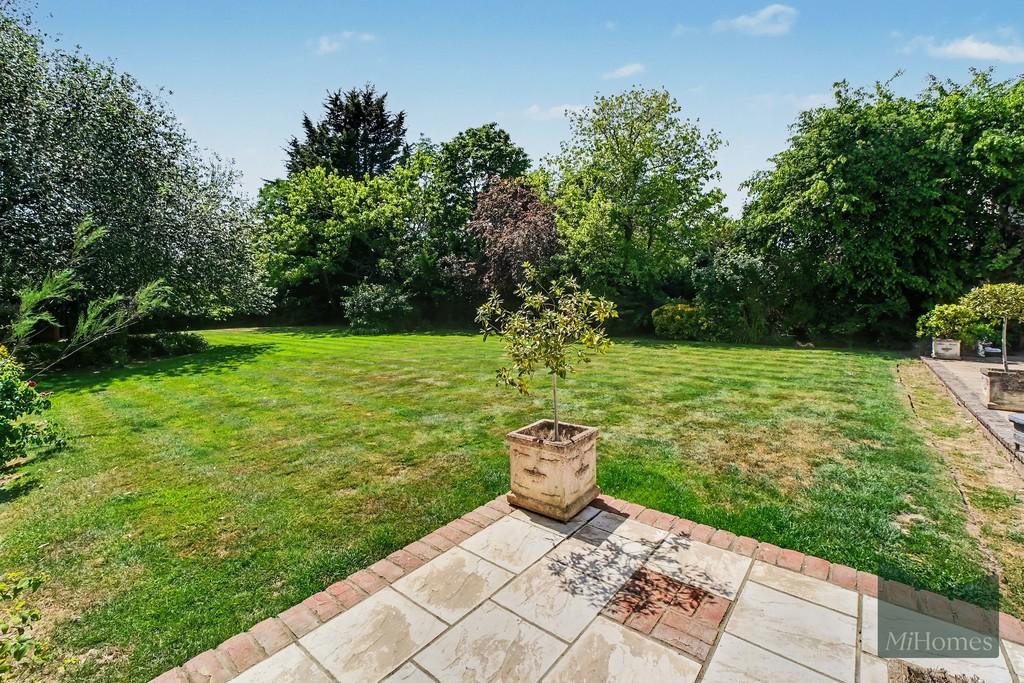Garden view, garden