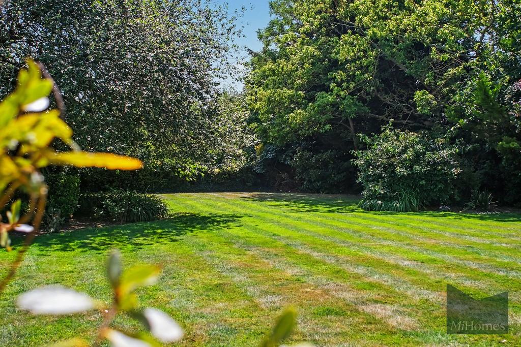 Garden view, garden