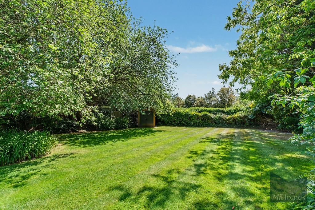 Garden view, garden