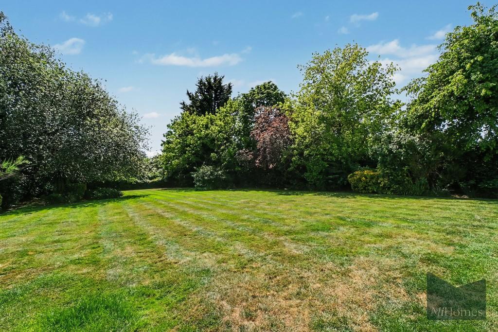 Garden view, garden