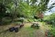 Cenarth, Newcastle Emlyn, SA38 photo 3