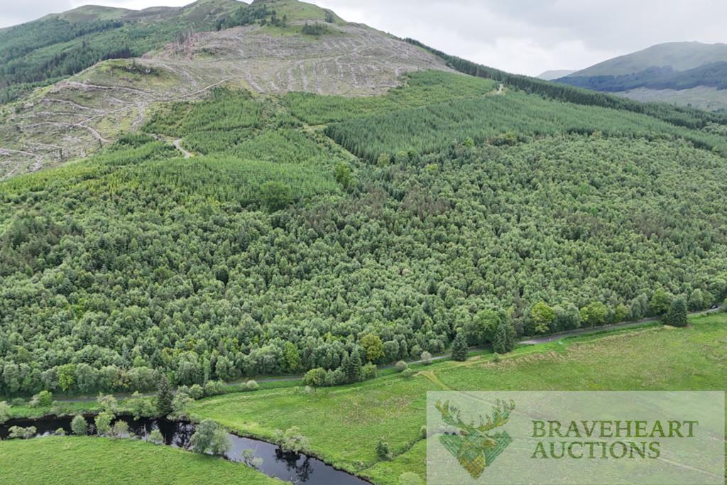 Braveheart 3, Balquhidder, Lochearnhead, Stirling, FK19 8PR - View 5
