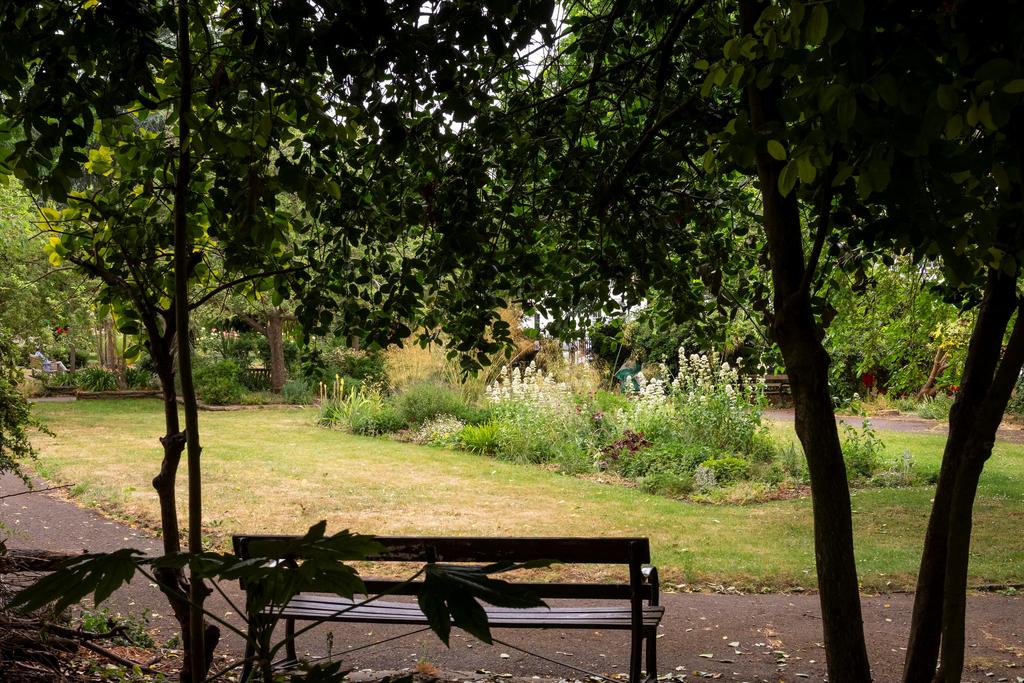 Garden view, garden