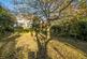 Additional image 25 of Swanage