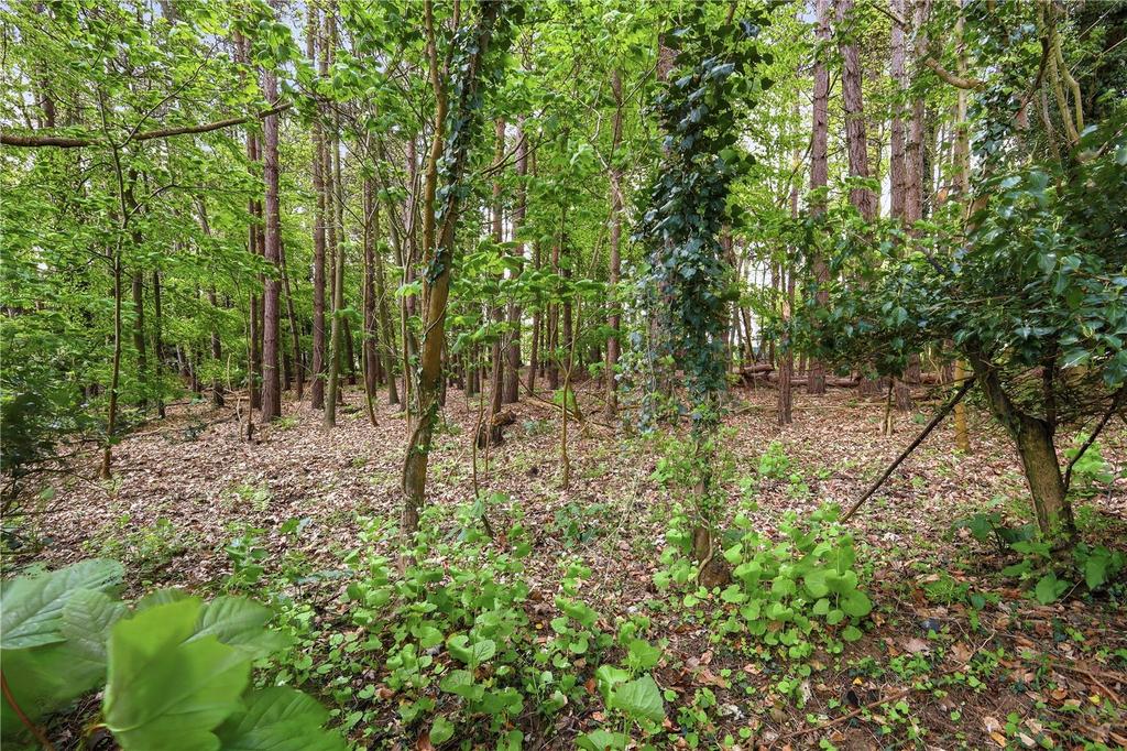 Broomheath, Woodbridge, Suffolk, IP12 - View 3