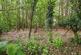 Broomheath, Woodbridge, Suffolk, IP12 photo 3