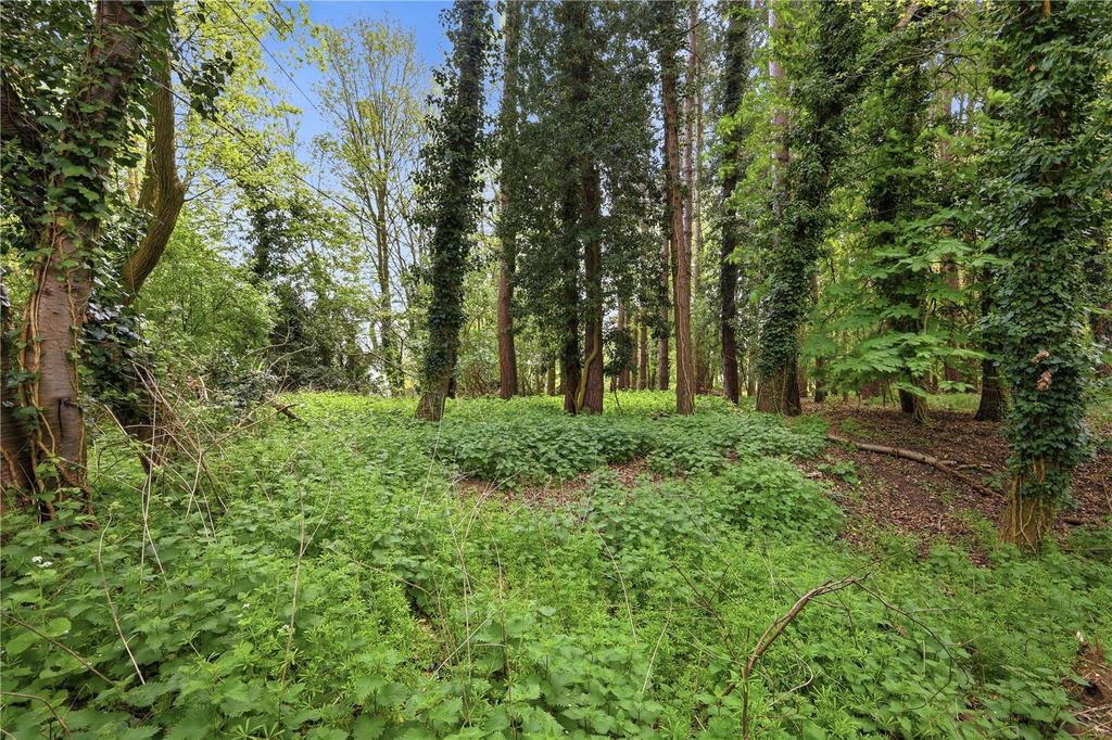 Broomheath, Woodbridge, Suffolk, IP12 - View 4