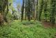 Broomheath, Woodbridge, Suffolk, IP12 photo 4