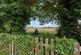 Grove Gardens, Ely CB7 photo 3