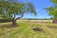 Additional image 11 of Trash Green, Burghfield, Reading, Berkshire, RG30