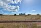 Dungeness, Romney Marsh, Kent TN29 9NH