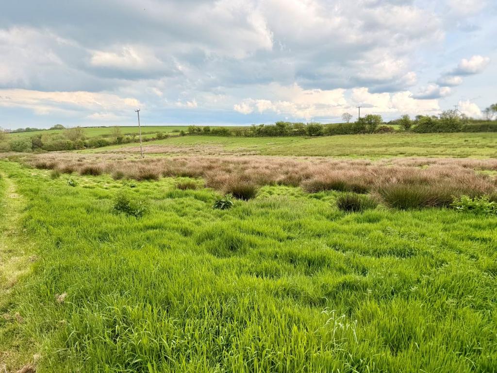 Plot 2 Bay View Farm, Lufflands, Sutcombe, Holsworthy, Devon, EX22 7PJ - View 2