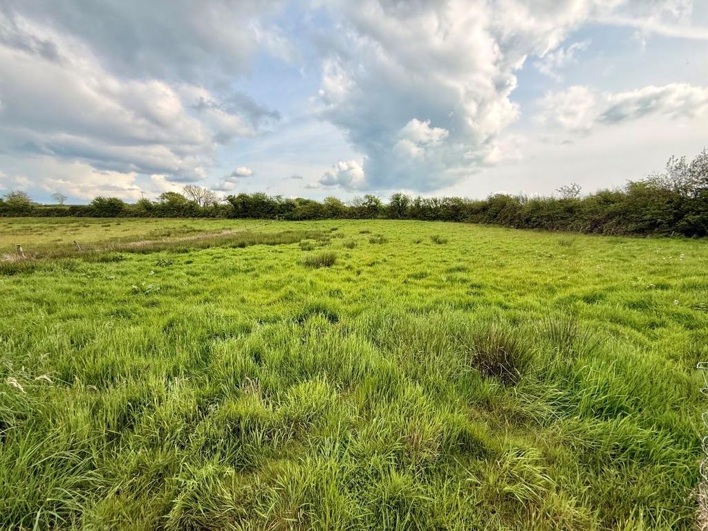 Plot 2 Bay View Farm, Lufflands, Sutcombe, Holsworthy, Devon, EX22 7PJ - View 4