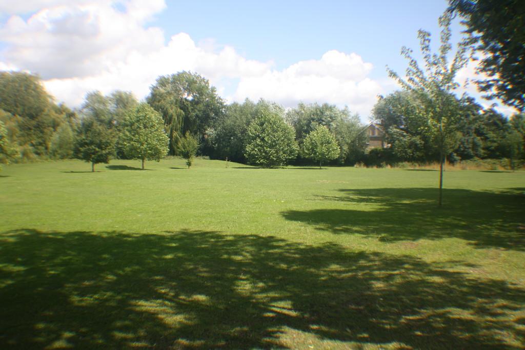 Img 0191