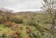 Additional image 33 of Taigh Na Coin Geal, Rhemusaig, Rogart