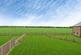 Additional image 18 of Muncey Grove, Bassingbourn, Royston