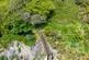 Additional image 59 of Aberdovey, LL35