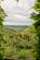 Additional image 6 of Fronhaul, Cefn Coch, Powys